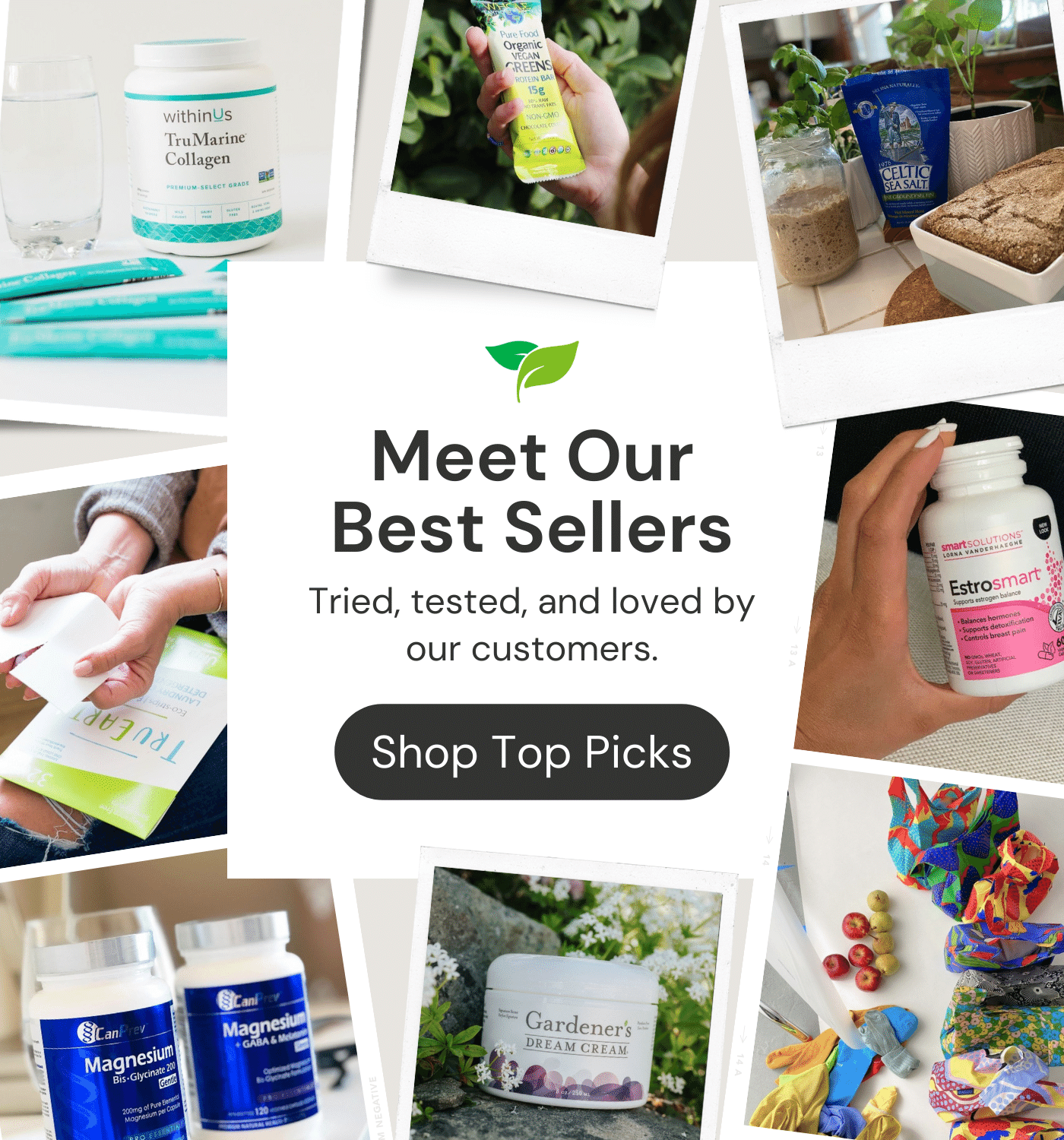 Meet Our Best Sellers